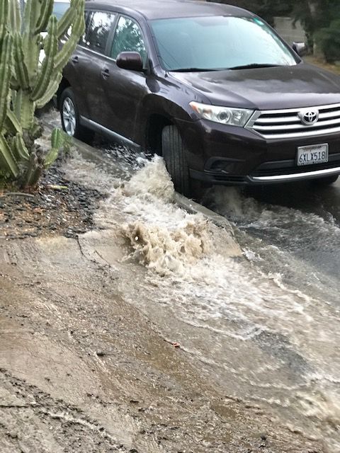 water gushes from broken hydrant past cars on Douglas Street